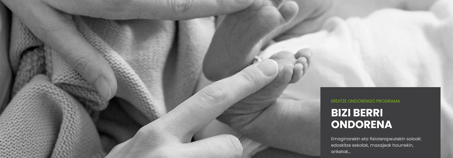 fisioterapia-web-orria